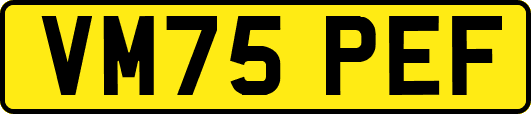 VM75PEF