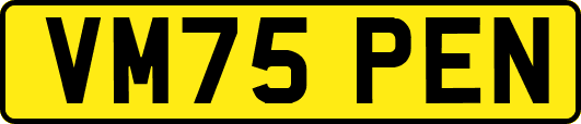 VM75PEN