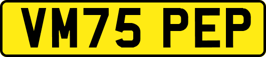 VM75PEP