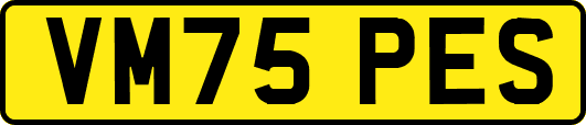 VM75PES