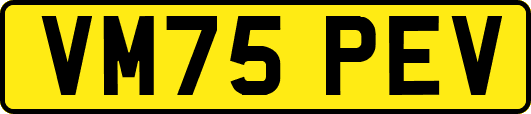 VM75PEV