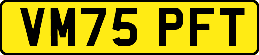 VM75PFT