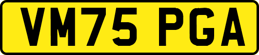 VM75PGA