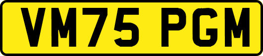 VM75PGM