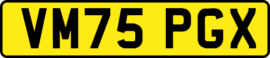 VM75PGX