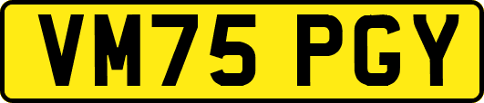 VM75PGY