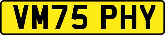 VM75PHY