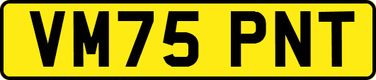 VM75PNT