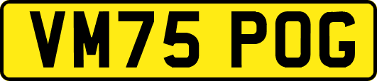 VM75POG