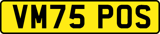 VM75POS
