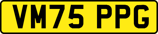 VM75PPG