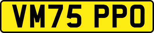 VM75PPO