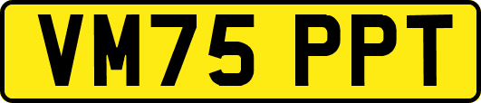 VM75PPT