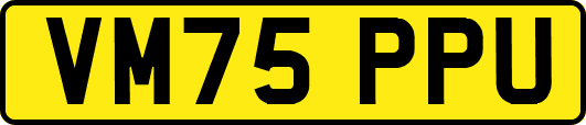 VM75PPU