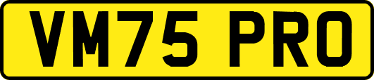VM75PRO