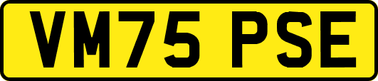 VM75PSE