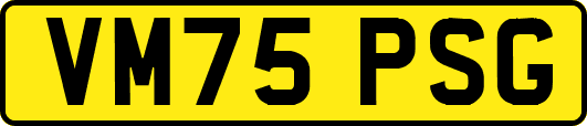 VM75PSG
