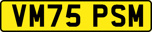 VM75PSM