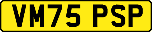 VM75PSP
