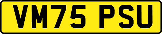 VM75PSU