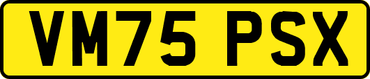 VM75PSX