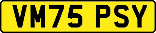 VM75PSY