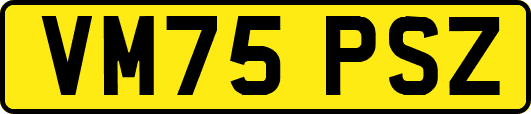 VM75PSZ