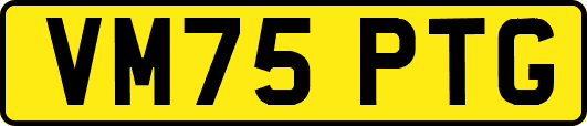 VM75PTG