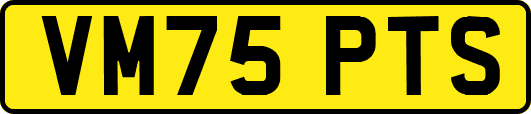 VM75PTS