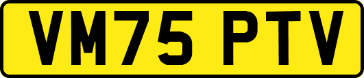 VM75PTV