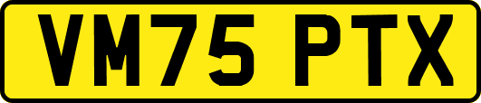 VM75PTX