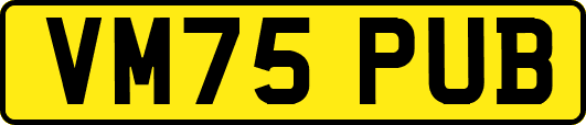 VM75PUB