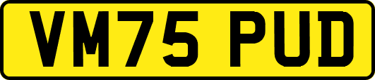 VM75PUD