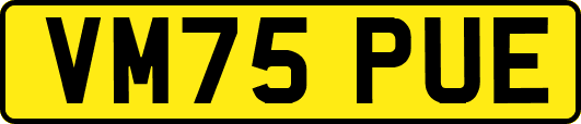 VM75PUE