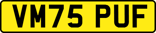 VM75PUF