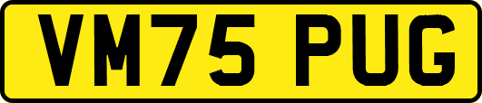 VM75PUG