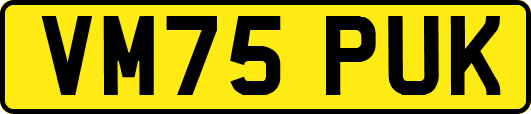 VM75PUK