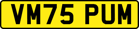 VM75PUM