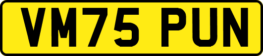 VM75PUN