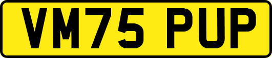VM75PUP