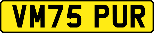 VM75PUR