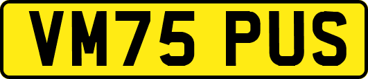 VM75PUS