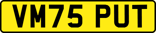 VM75PUT