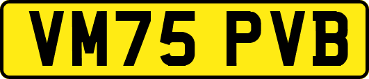 VM75PVB