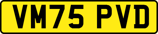 VM75PVD
