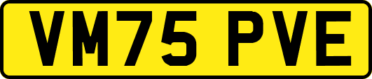 VM75PVE