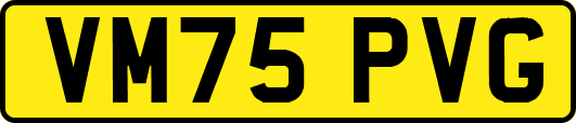 VM75PVG