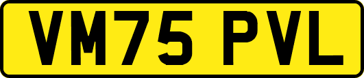 VM75PVL