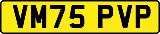VM75PVP