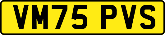 VM75PVS